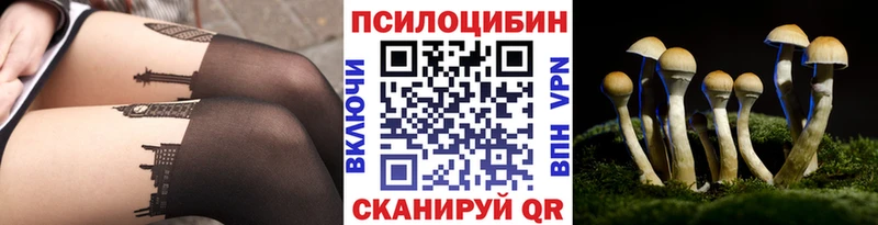 Галлюциногенные грибы Magic Shrooms  Купить где  Нижняя Салда 